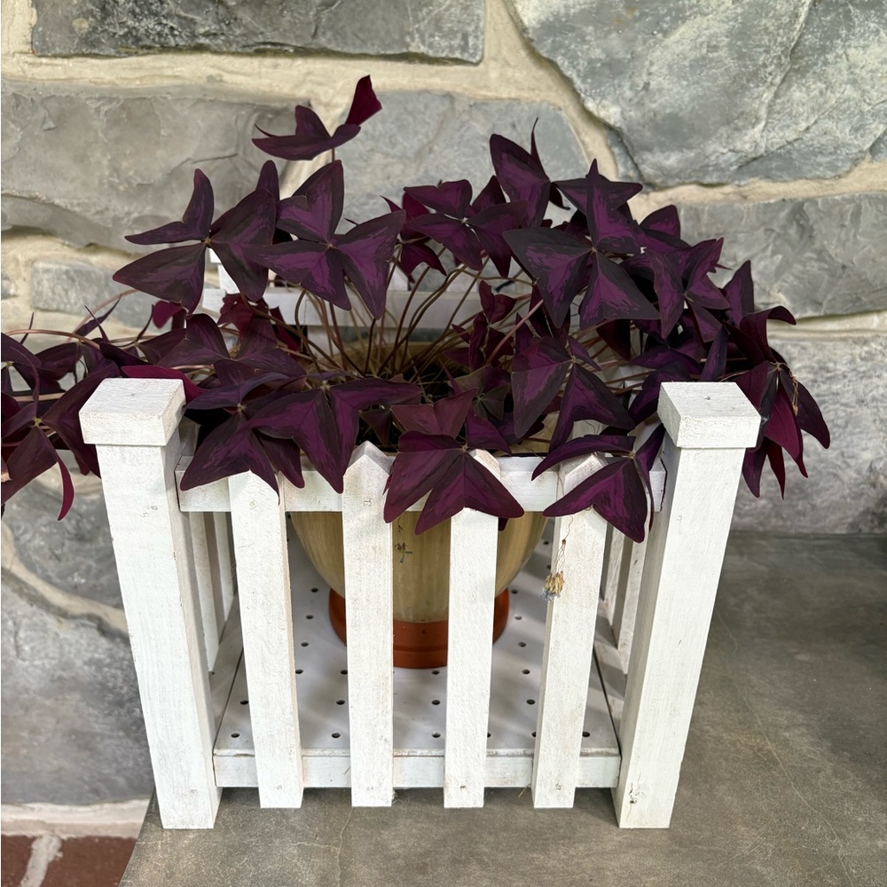 Super Cute Handcrafted White Wooden Planter - plant not included